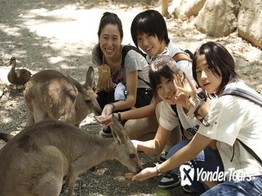 Zootastic Experience at Hartley's Crocodile Adventure from Cairns or Palm Cove