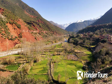 Atlas Mountains and 4 Valleys Guided Day Tour from Marrakech including Lunch in Berber House