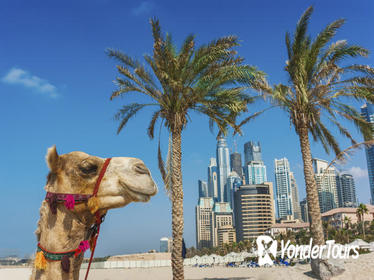 Dubai Super Saver: City Sightseeing Tour and Desert Safari