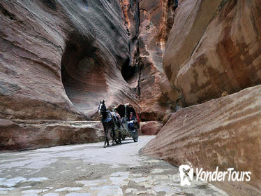 Full-Day Petra Tour from Amman