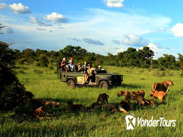 Enjoy an indelible treat with a visit to the Kruger National Park and Blyde River Canyon