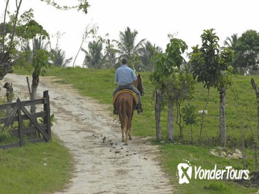 La Palmeraie or Lalla Takerkoust Lake Horse Riding Tour from Marrakech Including Lunch