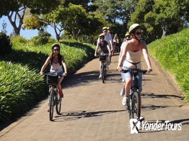Constantia Wine Valley Bike Tour in Cape Town