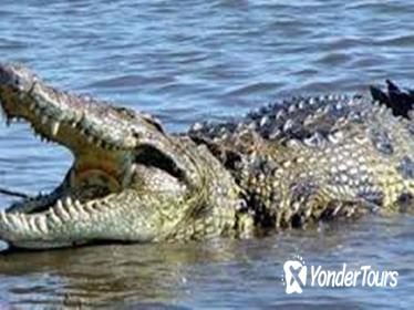 Lake Nasser Fishing Safari Trip with Lunch Included