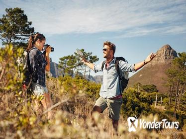 10-Day Cape Town Sightseeing, Garden Route and Safari Small-Group Tour