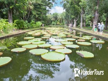 Mauritius Private North Day Tour: Botanical Garden - Sugar Museum - Rum Tasting - Port Louis