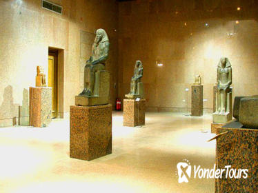 Private Tour: The Nubia Museum