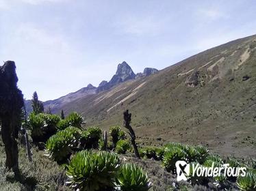 Mount Kenya Trekking Through Sirimoni-Chogoria Route