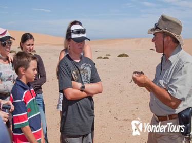 Namib Desert 4x4 Tour from Swakopmund