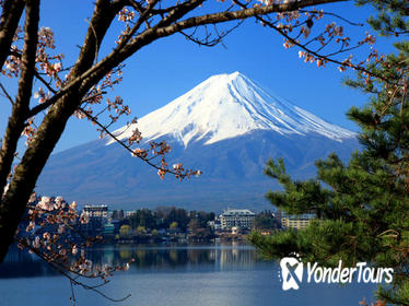 Mt. Fuji Day Trip Including Lake Ashi Sightseeing Cruise from Tokyo
