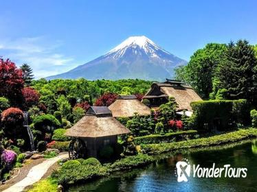 1-Day Mt Fuji Bus Tour with Fuji Airways 4-D and Ninja Experience