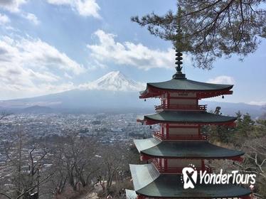 Exciting Mt,Fuji - One Day Tour from Tokyo