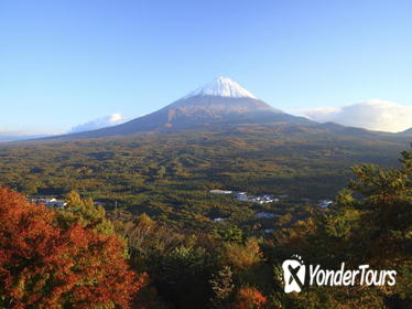 Mt Fuji and Aokigahara Forest Day Trip from Tokyo