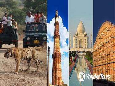 7-Night Private Tour of India's Golden Triangle, Palaces, and Tigers