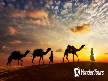 12-day Private Tour: Rajasthan and Camel Safari