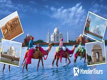 04 Nights Golden Triangle Tour