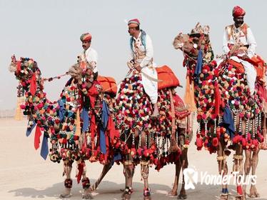 Incredible Rajasthan with Pushkar Fair