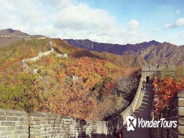 Mini Group Tour: Mutianyu Great Wall, Ming Tombs & Olympic Stadium