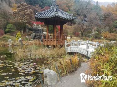 Day Trip to Nami Island with Rail bike and The Garden of Morning Calm
