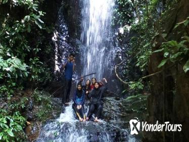 2D1N Tour Rainforest Taman Negara (Waterfalls) & Batu Caves