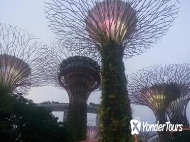 Private Full Day Singapore Highlights Tour with Private Vehicle,Lunch and Dinner