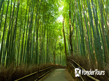 Arashiyama and Sagano Morning Walking Tour