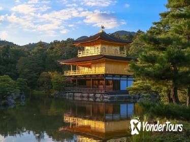 Kyoto and Nara 1 Day Bus Tour