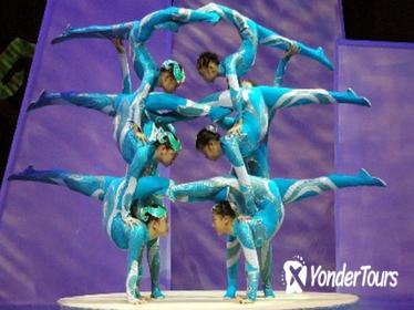 Chinese Acrobats and Shanghai Evening Tour