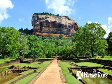 Full-Day Tour of Sigiriya Rock Fortress and Dambulla Cave Temples by Luxury Vehicle