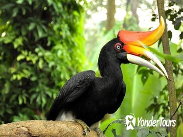 Kuala Lumpur Bird Park Admission with Transfer