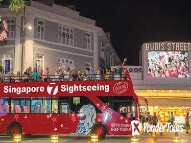 HiPPO Night Tour: Gardens by the Bay- Bugis St Market - Tropical Fruit Sampling