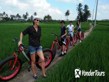 Half-Day Fat Tire Electric Bike Tour from Ubud