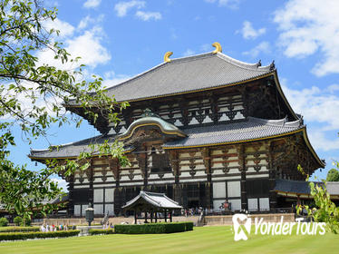 2-Day Kyoto and Nara Rail Tour by Bullet Train from Tokyo