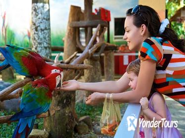 Singapore Jurong Bird Park Tour