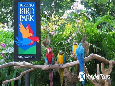 Singapore Bird Park Tour with Transfer