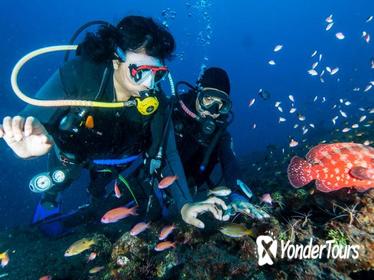 Bali Tulamben USAT Liberty Wreck Dive