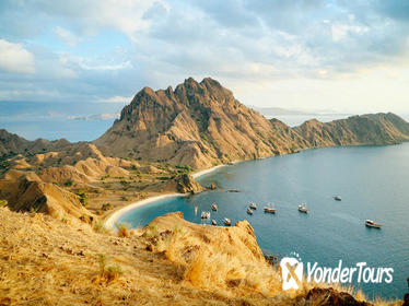 4-Day Komodo National Park and Exotic Island Adventure from Labuan Bajo (Flores)