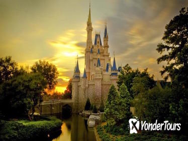Disneyland or Disneysea 1-Day Passport Ticket and Private Transfer from Tokyo