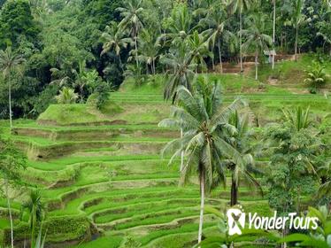 Private Ubud Tour with Uluwatu Sunset