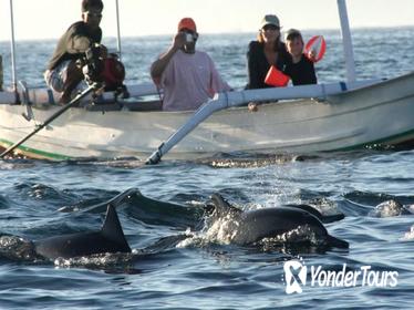 Bali Dolphin Tour at Lovina, Gitgit Waterfall and Ulundanu Beratan