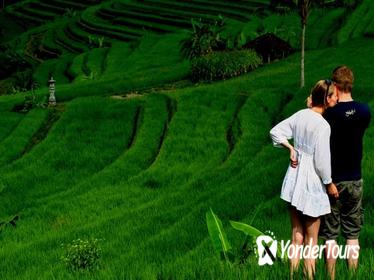 Private Tour: East to the North of Bali