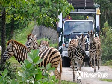 BALI SAFARI MARINE PARK AND JIMBARAN DAY TOUR