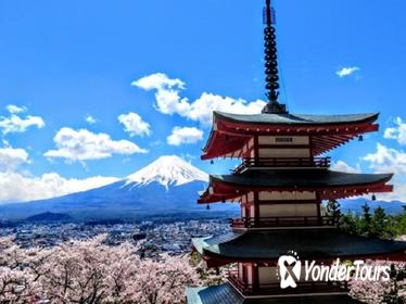 Day Trip around Mt, Fuji by Public Transportation