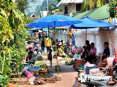 Luang Prabang City Tour and Mekong Cruise to Pak Ou Caves