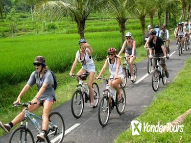 Full-Day Bali Downhill Bike Tour