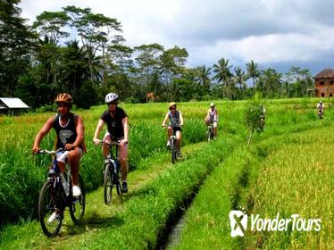 Bali Kintamani Cycling Tour