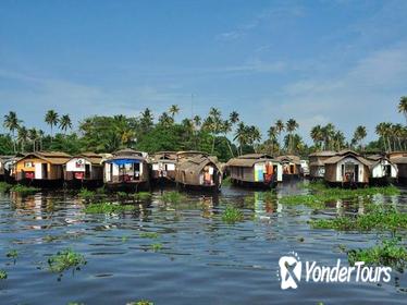 6-Day Private Tour: Periyar Wildlife Sanctuary and Backwater Houseboat Cruise in Kerala