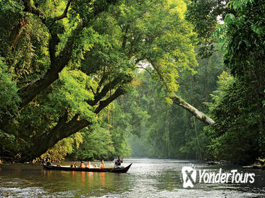 4-Day Taman Negara Adventure From Kuala Lumpur