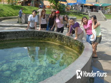 Hot Spring and Templers Park Waterfall Tour from Kuala Lumpur