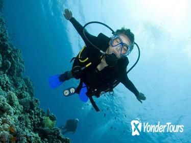 Menjangan Island Bali Diving Activity